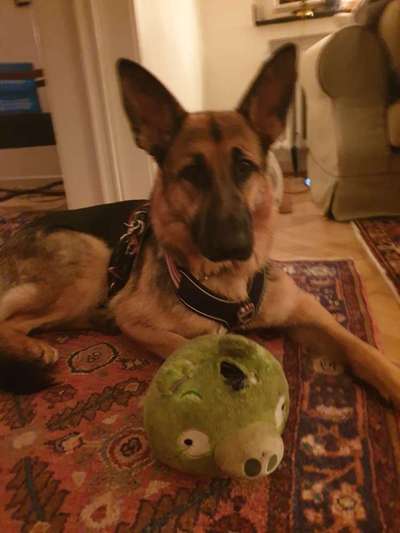 Lieblingsbild-Beitrag-Bild