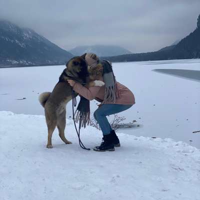 Hundetreffen-Chico sucht Freunde 🐕-Profilbild