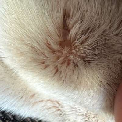 Was ist das?-Beitrag-Bild