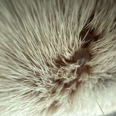Was ist das?-Beitrag-Bild