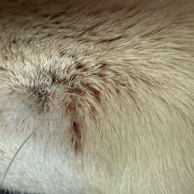 Was ist das?-Beitrag-Bild
