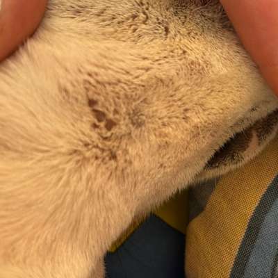 Was ist das?-Beitrag-Bild