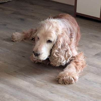 Kathi's Profilbild