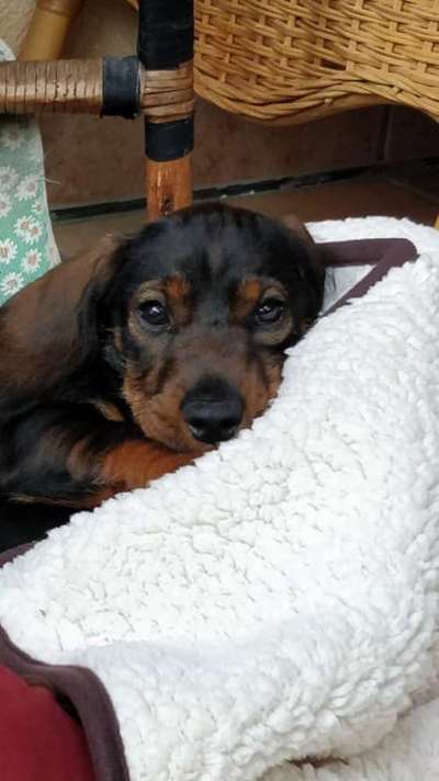 Vorher.... Nachher-Beitrag-Bild