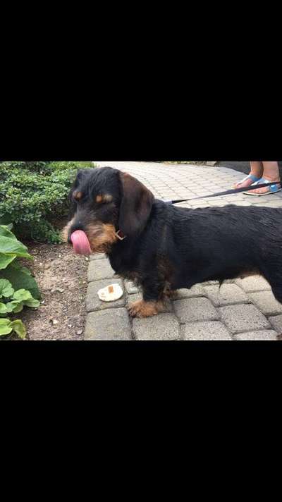 Vorher.... Nachher-Beitrag-Bild