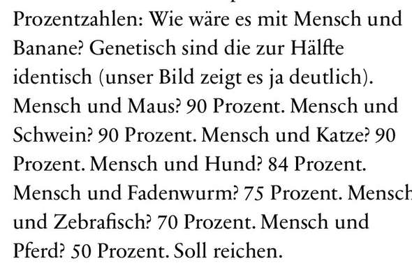 Darf man Welpen in einer Tierhandlung verkaufen/kaufen?-Beitrag-Bild