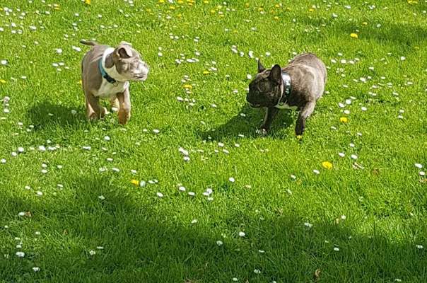 Lieblings Schnappschuss?-Beitrag-Bild