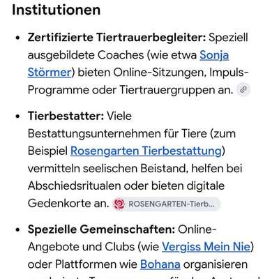 Blasenentzündung/Nierenbeckenentzündung übersehen?-Beitrag-Bild