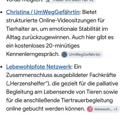 Blasenentzündung/Nierenbeckenentzündung übersehen?-Beitrag-Bild