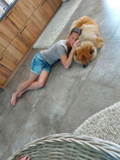 Eurasier hier?-Beitrag-Bild