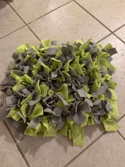 Schnüffelteppich-Beitrag-Bild