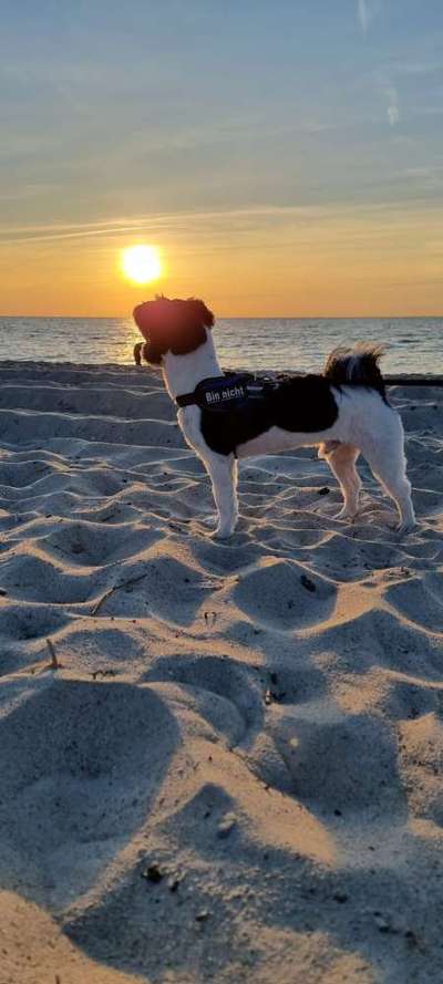 Theos  Fotochallenge Nummer 2-Beitrag-Bild