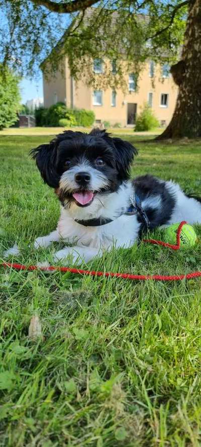 Das beste grinsefoto-Beitrag-Bild