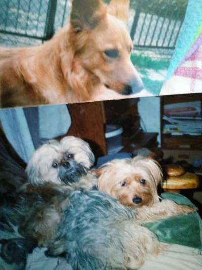 Fotochallenge Nr. 56 - geliebte Senioren-Beitrag-Bild