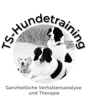 Hundeschulen-TS-Hundetraining-Bild
