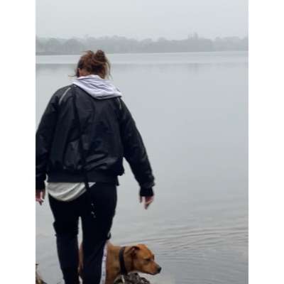 Hundetreffen-Junghundetreffen in & um Plön-Profilbild