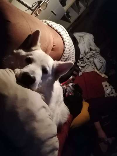 Fotochallange Nr. 57     PORTRÄT.   Beendet!!!!!!!!-Beitrag-Bild