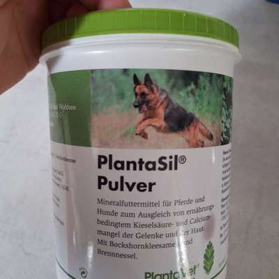 PlantaSil Pulver-Beitrag-Bild