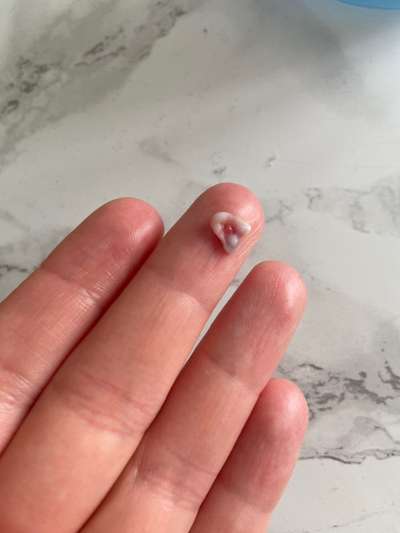 Eckzahn gefunden-Beitrag-Bild