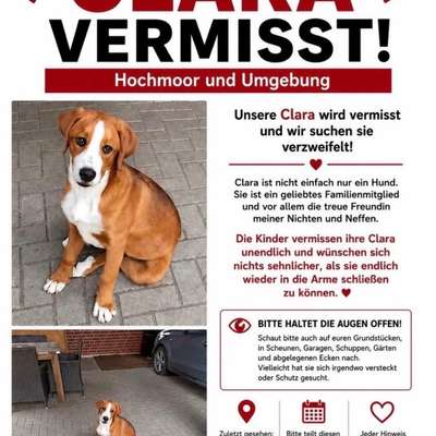 Suchmeldung-Clara-Bild