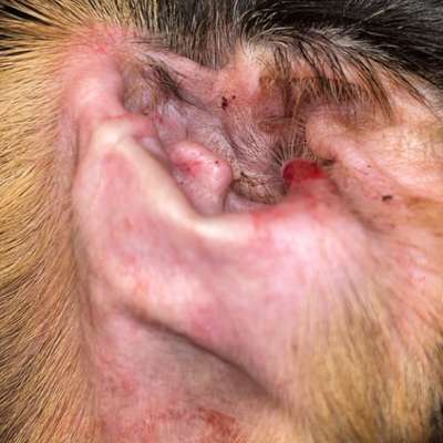 Gangbild/-analyse-Beitrag-Bild