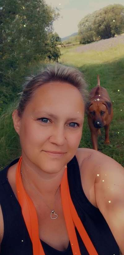 Rhodesian Ridgeback-Beitrag-Bild