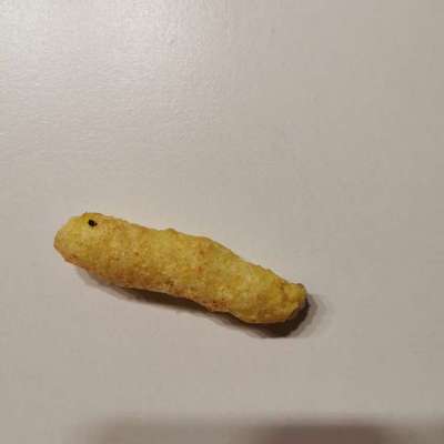 Giftköder-Giftköder in Krechting-Bild