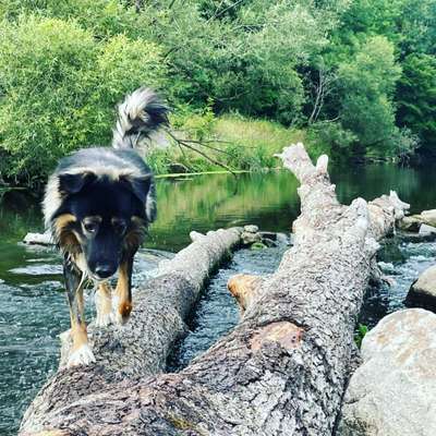 Theos Fotochallange Nummer 4-Beitrag-Bild