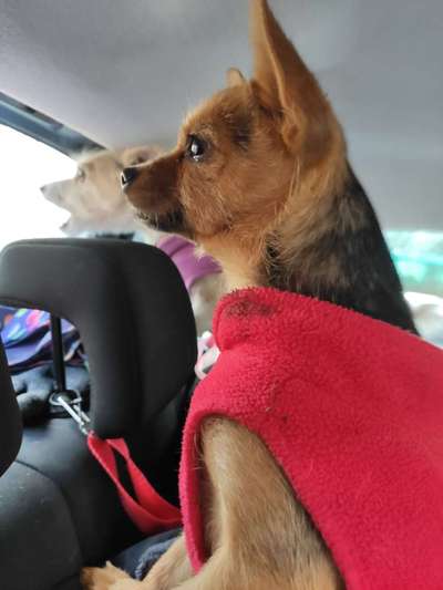 117. Fotochallenge-Beitrag-Bild