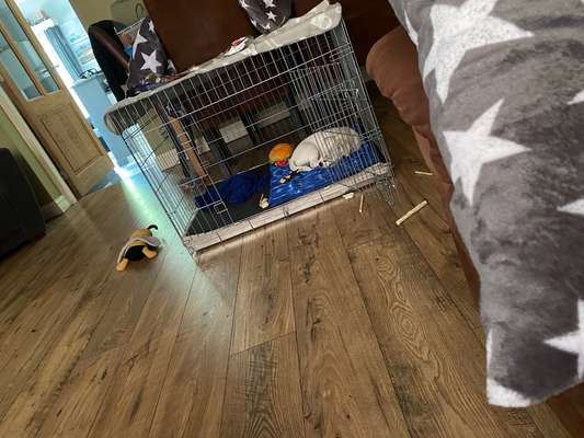 Kühlmatte-Beitrag-Bild