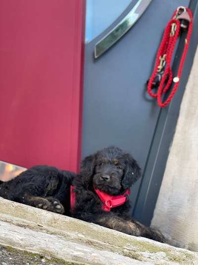 Fotochallange Nummer 5-Beitrag-Bild