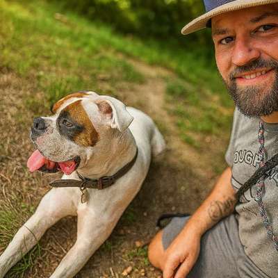 Deutsche Boxer-Beitrag-Bild