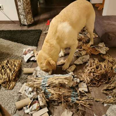 15. Handyfoto Challenge - Indoor Aktivitäten-Beitrag-Bild