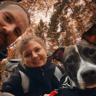 Hundetreffen-Hundetreff-Bild