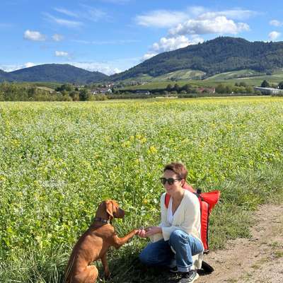 Hundetreffen-Playdate-Profilbild