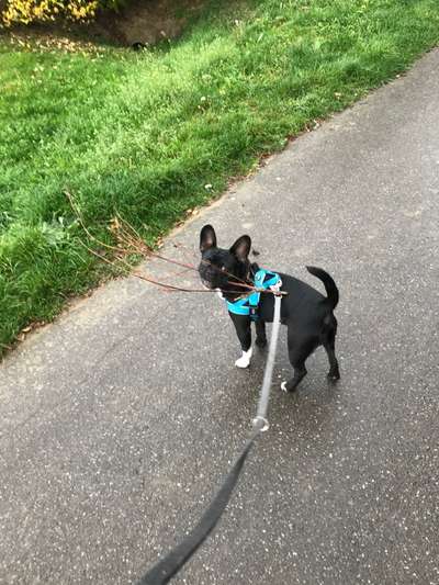 Fotochallenge Nr. 67: Euer Lieblingsbild-Beitrag-Bild