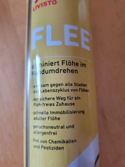 Kratzen und Ausschlag-Beitrag-Bild