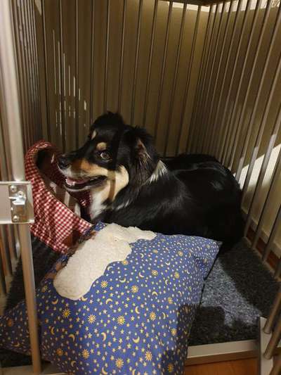 Allein zu Hause-Beitrag-Bild