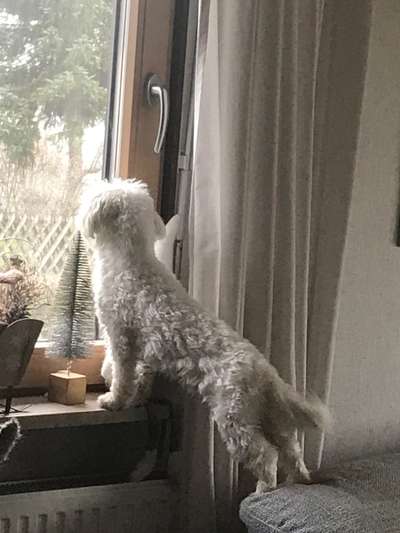 57. Handy Foto Challenge - klettern-Beitrag-Bild