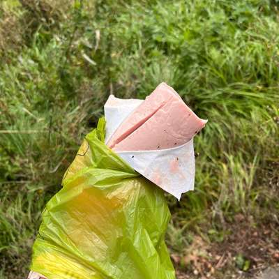 Giftköder-Möglicher Giftköder-Bild