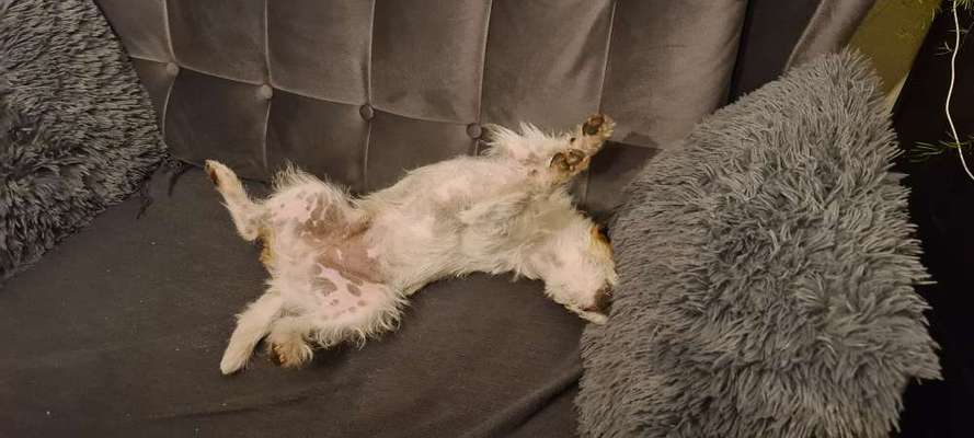 Die unbequemsten und lustigsten Schlafpositionen-Beitrag-Bild