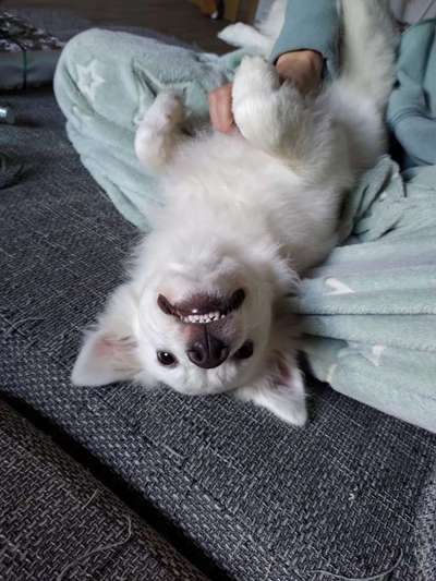 Fotochallenge Nr. 47 - Zeigt die Zähne-Beitrag-Bild