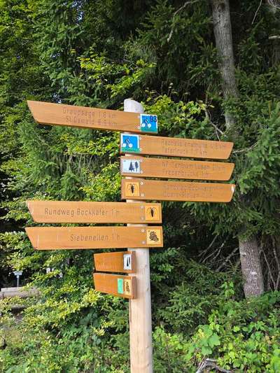 Hundeauslaufgebiet-Guglöd-Bild