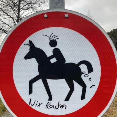 🐶💸 Hundesteuer steigt vielerorts – ist das gerechtfertigt?!-Beitrag-Bild