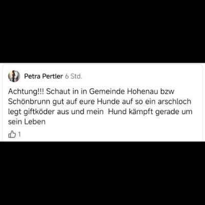 Giftköder-Giftköder Hohenau und Schönbrunn-Bild