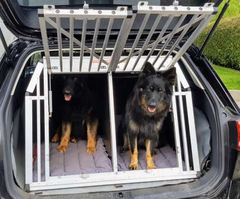 Alu-Transportbox oder Heckgitter für's Auto?-Beitrag-Bild