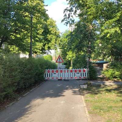 Giftköder-Eichenprozessionsspinner-Bild
