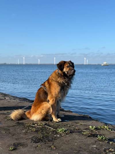 Häufige Vorurteile-Beitrag-Bild