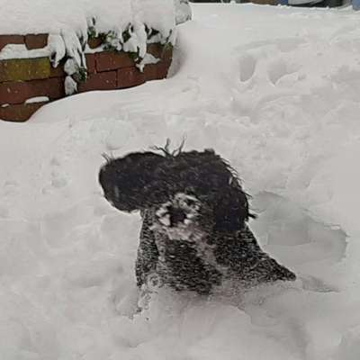 Un...scharf Bilder-Beitrag-Bild