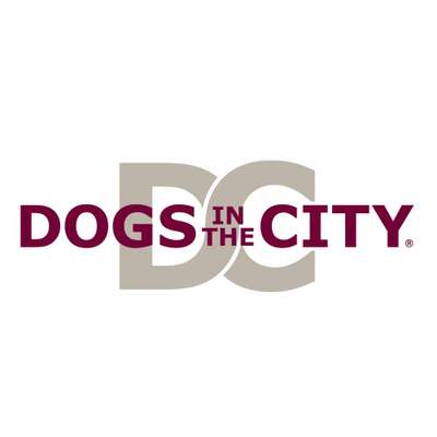 Hundeshops-DOGS in the CITY-Bild